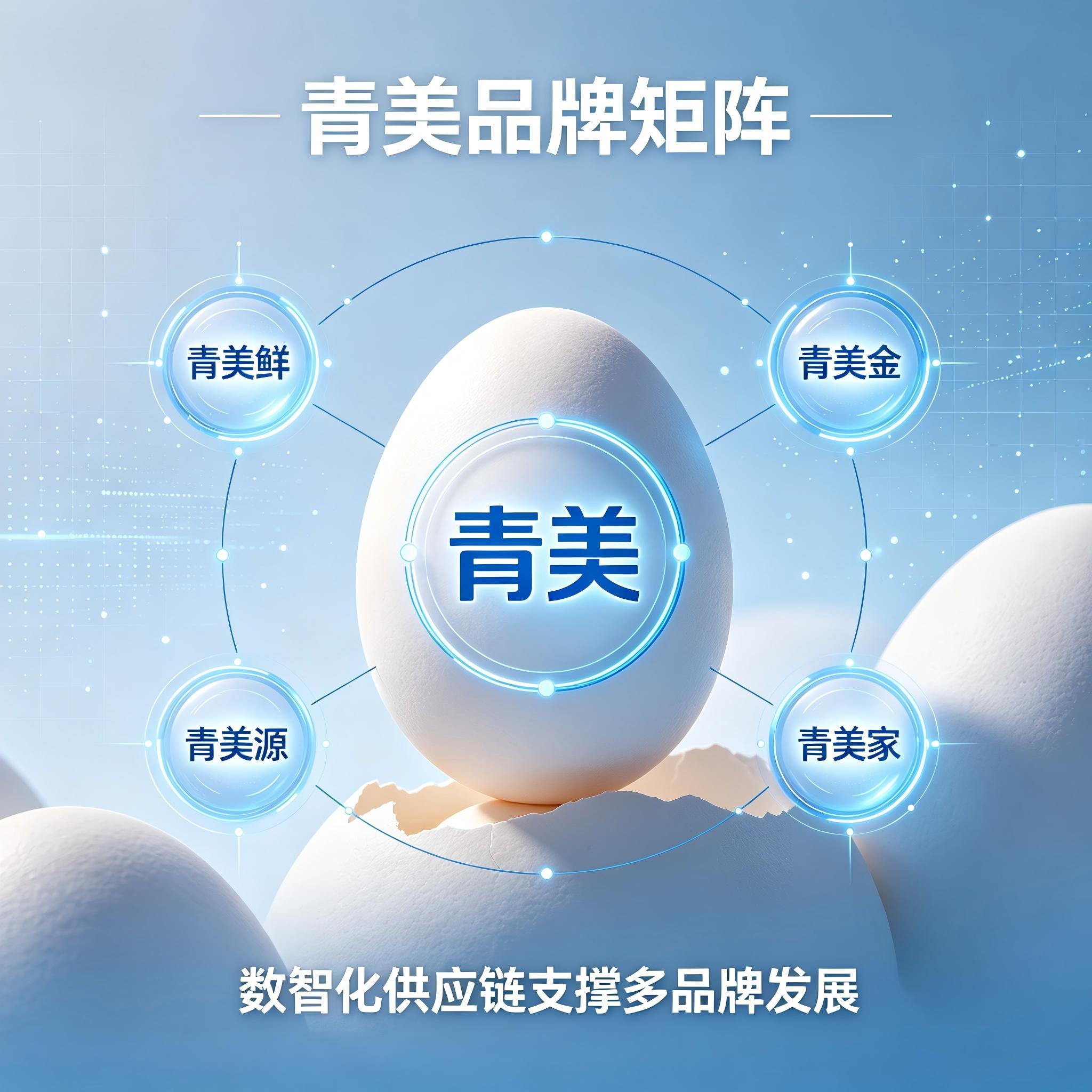 品牌矩阵